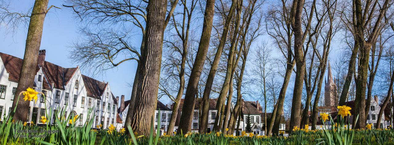 Ibis Budget Brugge Jabbeke Jabbeke  Exteriér fotografie